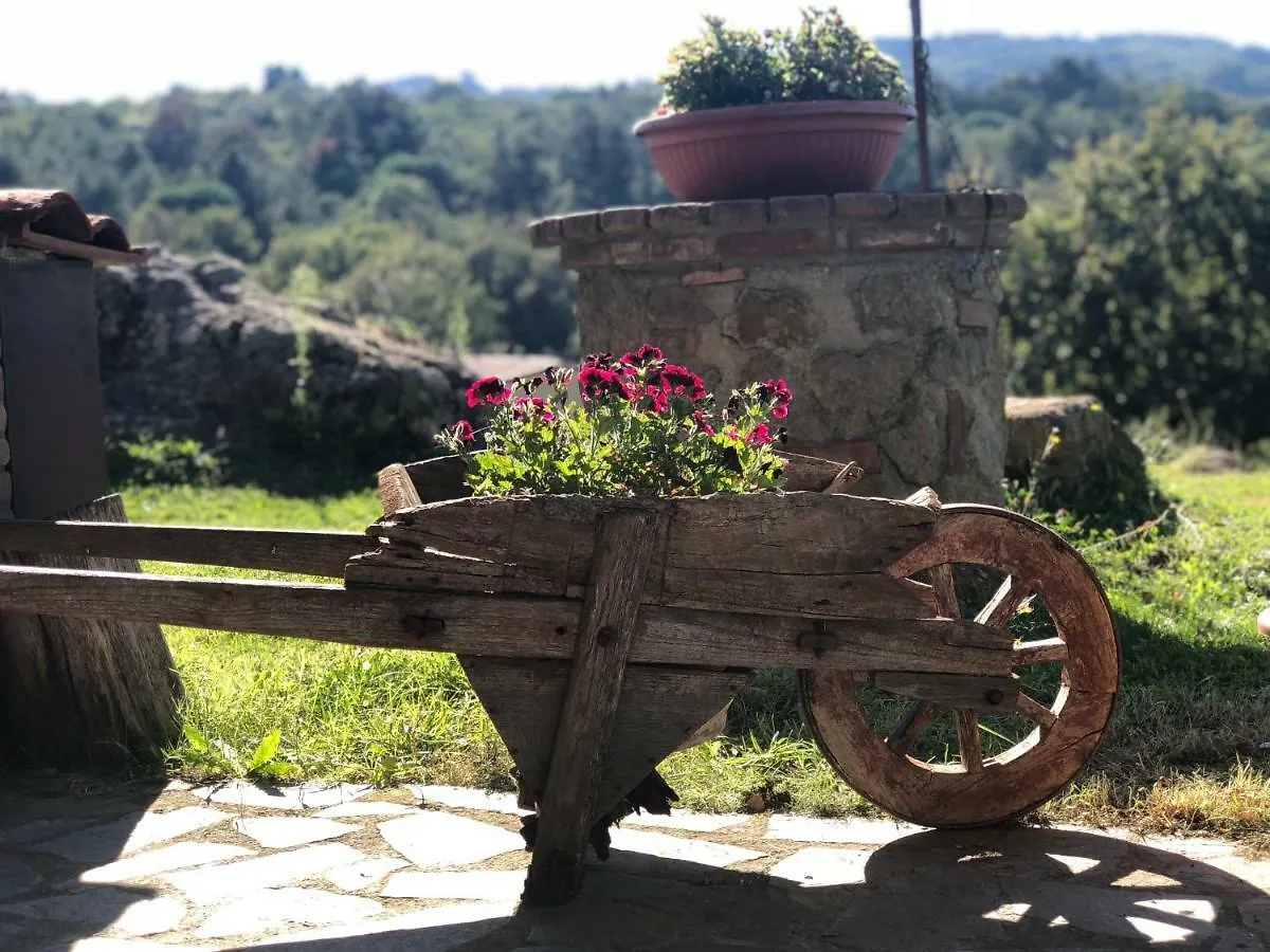 Podere Mazzarelle Castel del Piano  Italy