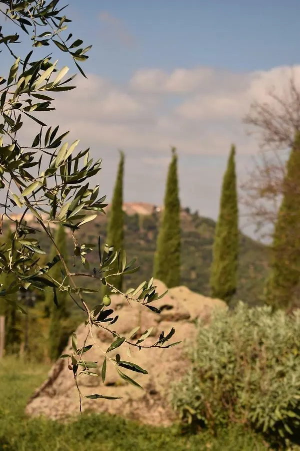 Podere Mazzarelle Castel del Piano  Holiday home Castel del Piano (Tuscany)