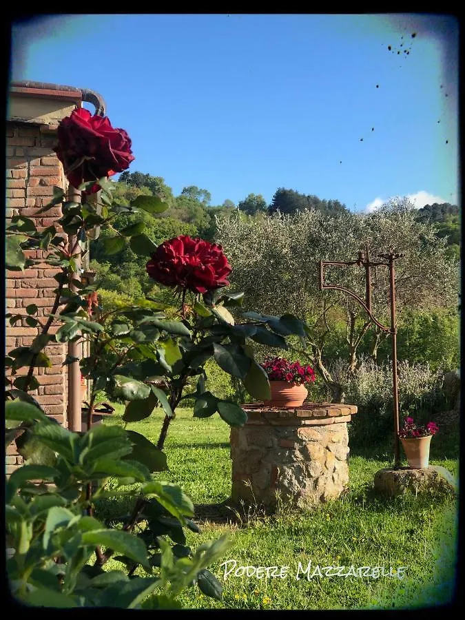 Podere Mazzarelle Castel del Piano  0*, Castel del Piano (Tuscany) Italy